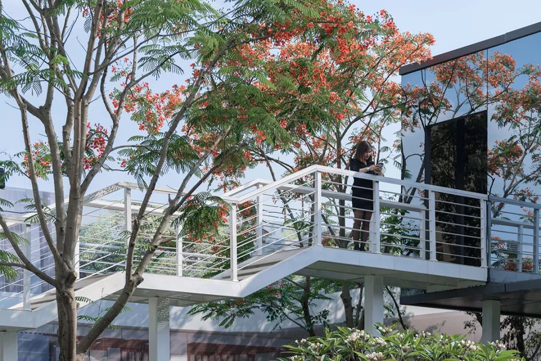 中南南宁紫云集-87