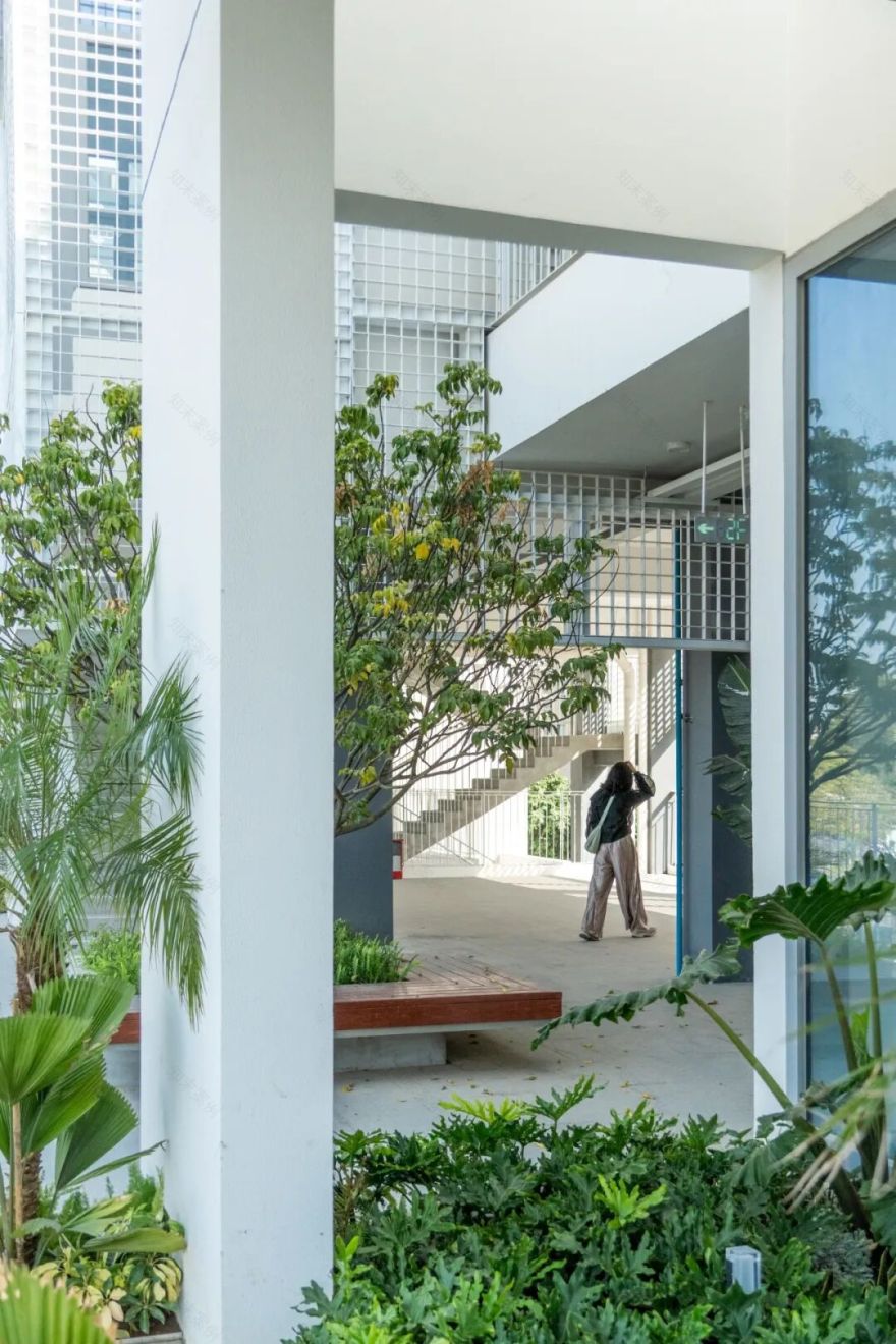 岭南新人居 · 容桂十村示范项目丨中国佛山丨竖梁社,广州市钢砼建筑设计院有限公司-55