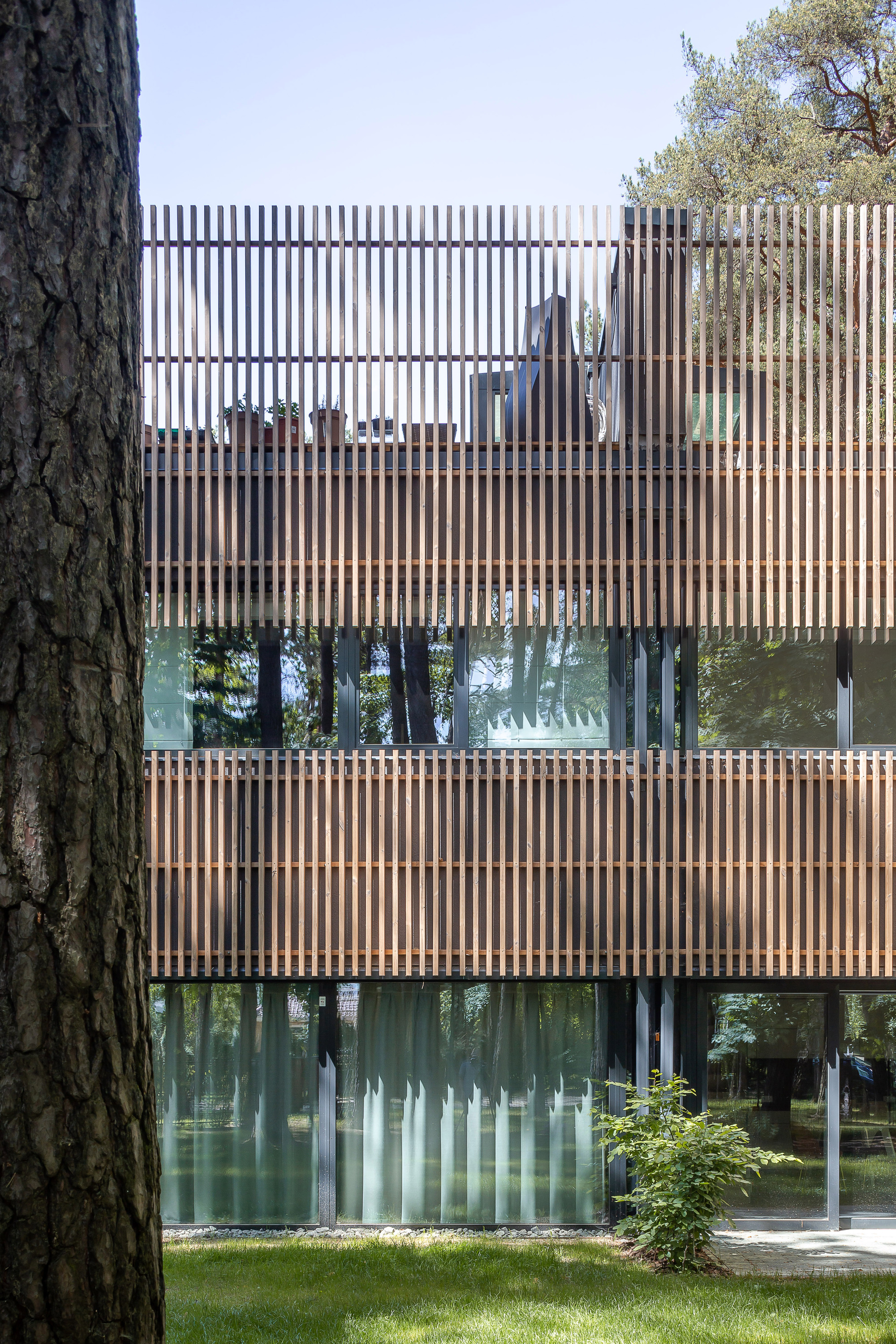 Residential Houses in the Pinewood Near Vilnius / Paleko architektu studija-7
