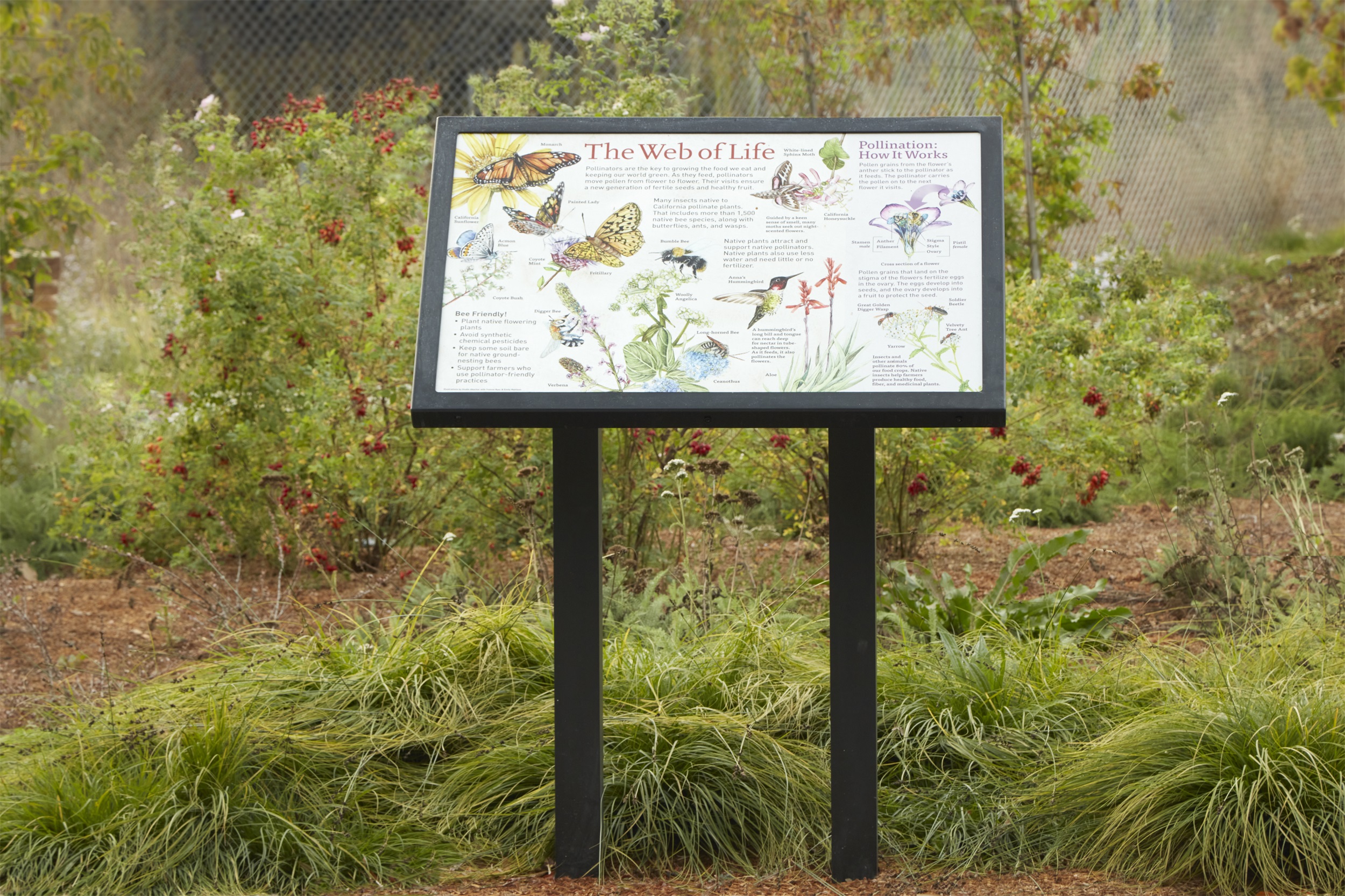 费尔顿图书馆探索公园 | 创新户外空间,环境与教育并重-43