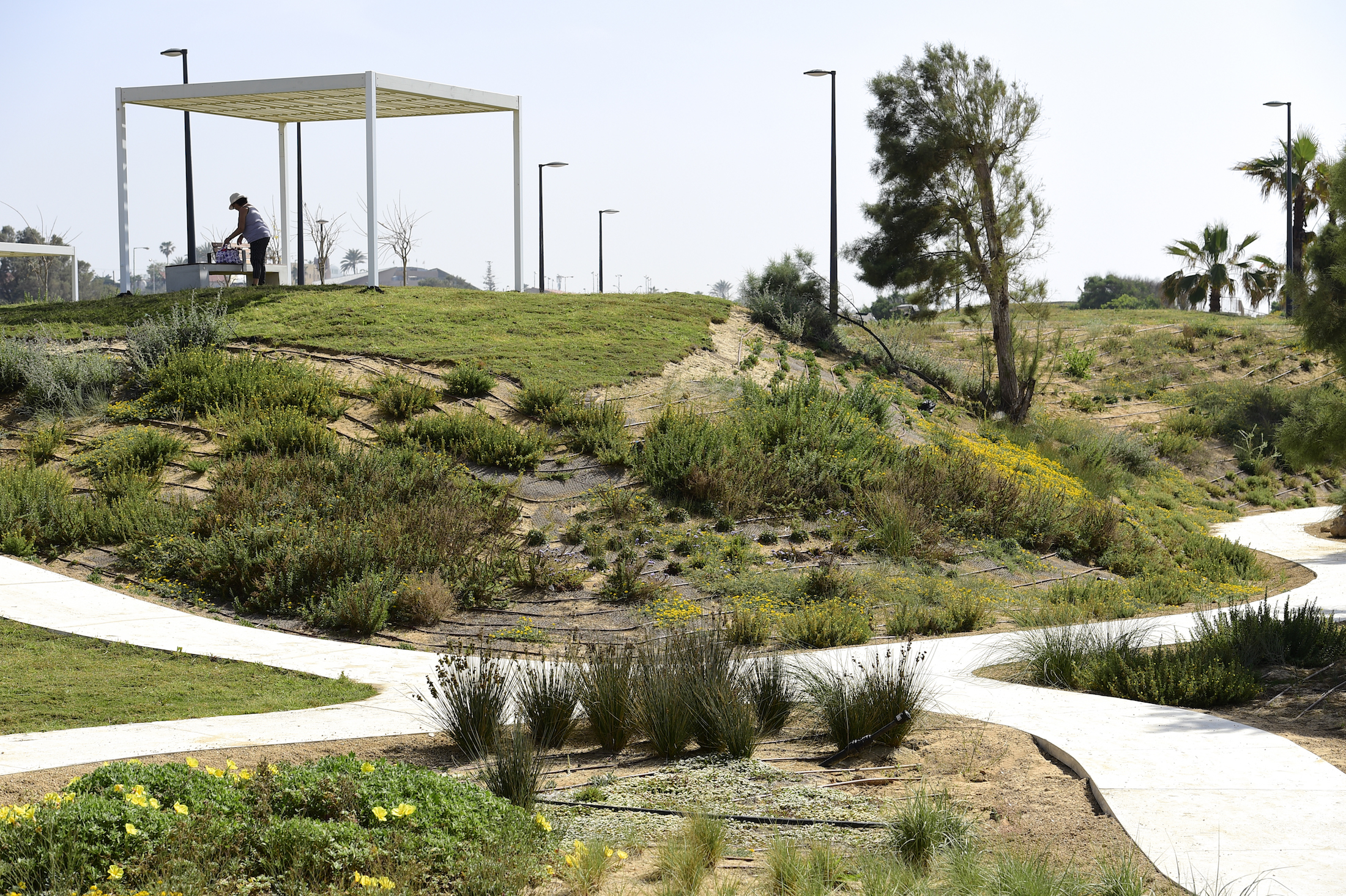 阿什克伦海洋公园 / Mayslits Kassif Roytman Architects-11