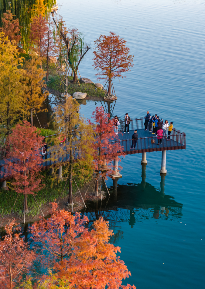 杭州良渚玉湖公园景观设计丨中国杭州丨易兰（北京）规划设计股份有限公司-35