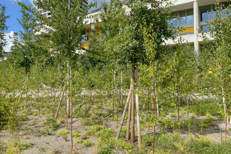 WolkenWerk 景观设计丨瑞士苏黎世丨mavo gmbh-7