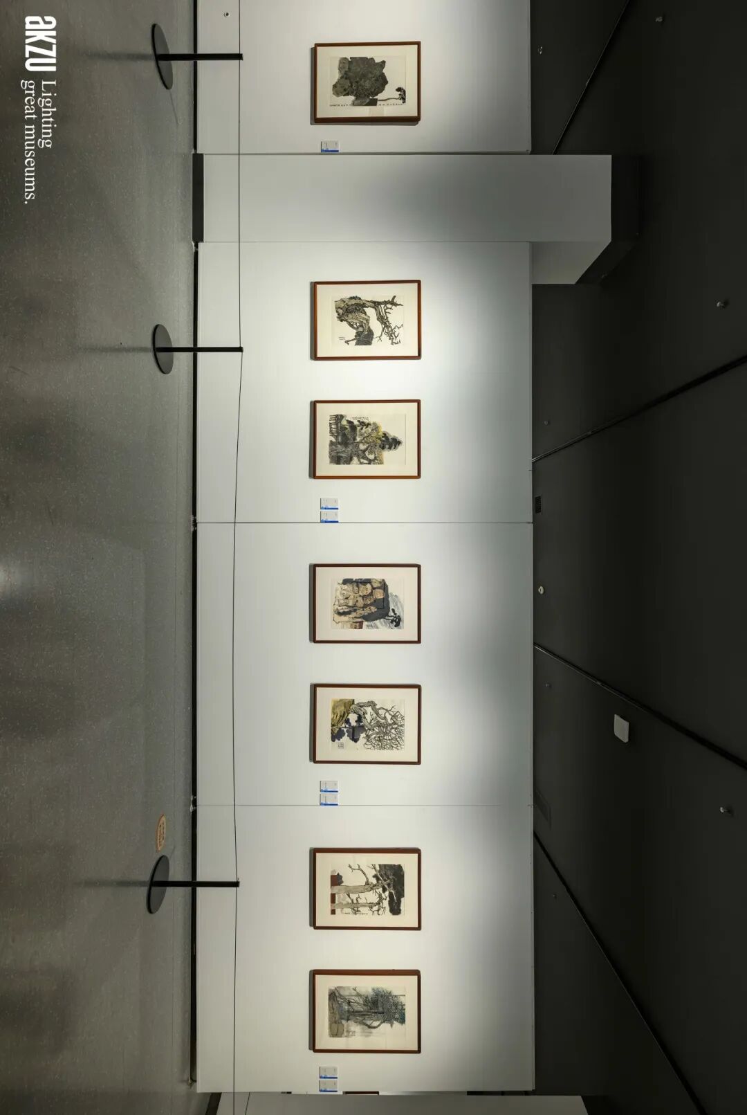 埃克苏美术馆照明项目|岳阳市美术馆：《在东方|画里中国诗意巴陵·当代中国画作品展》-41