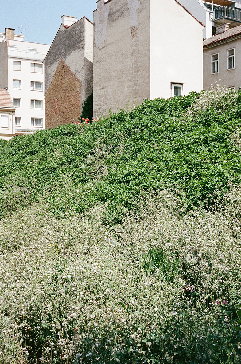 丨奥地利维也纳-20