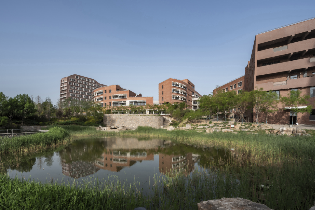 【AT】深圳易加-SZA设计新作｜成于矿坑——童泰国际学校-53