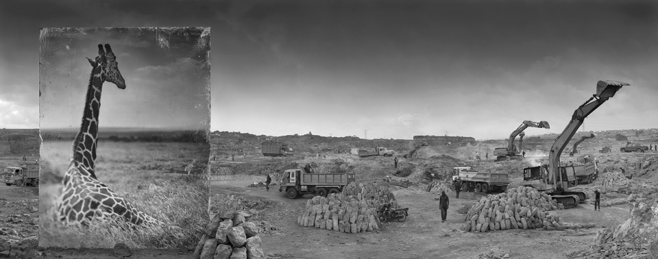 《尘土继承》——香港 Blue Lotus 画廊 Nick Brandt 摄影展-25