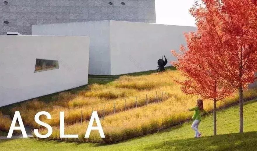 深圳最美绿道丨森林悦跑等你来-39