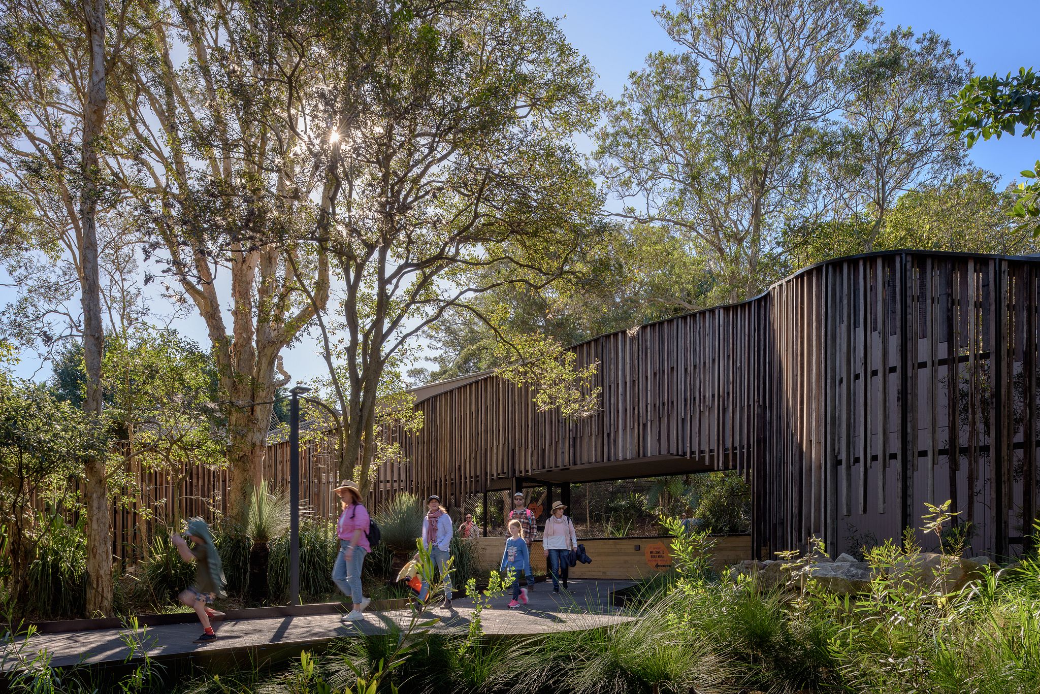 丨澳大利亚新南威尔士丨Lahz Nimmo Architects-5