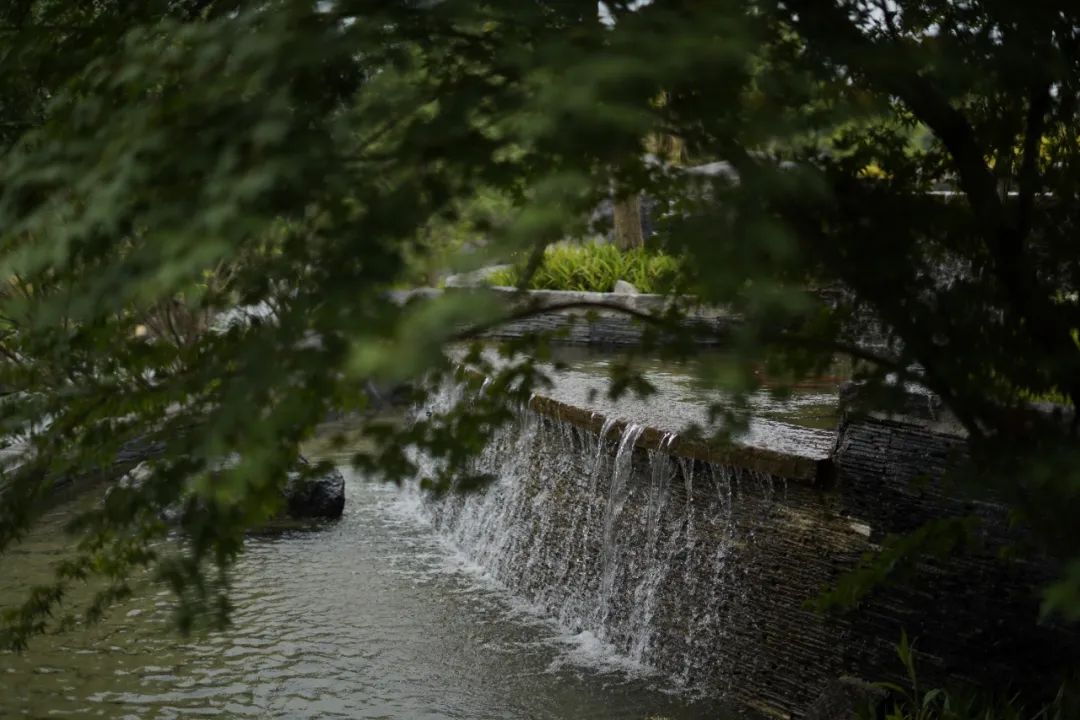 青城山外山，“无舍”即无得|绿地·无舍学院-50