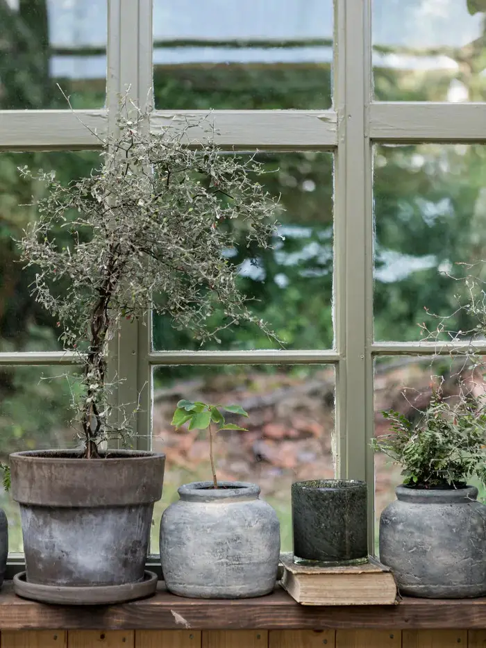 瑞典冬季花园 | 旧厂房变身温馨家庭绿洲-6