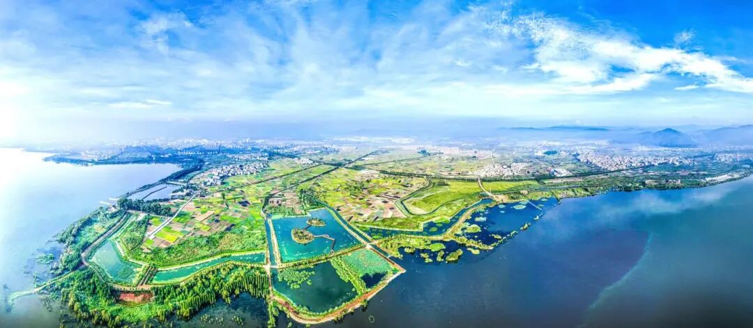 红线守护碧波漾重塑湖滨呼吸之美——星云湖南岸湿地、湖滨带提质改造工程-4