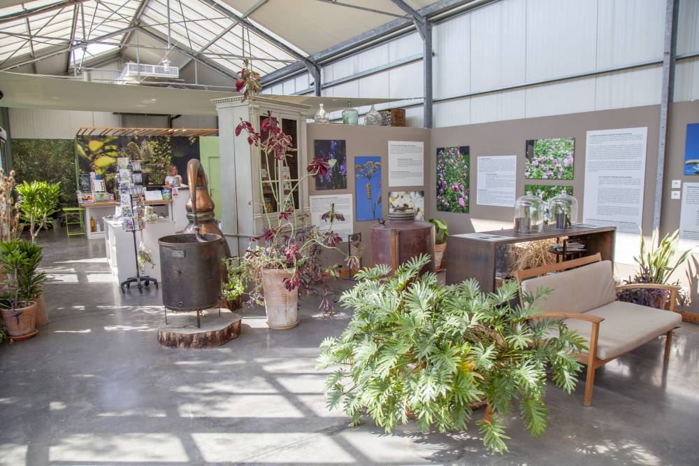 The Gardens of the International Perfumery Museum - France-9