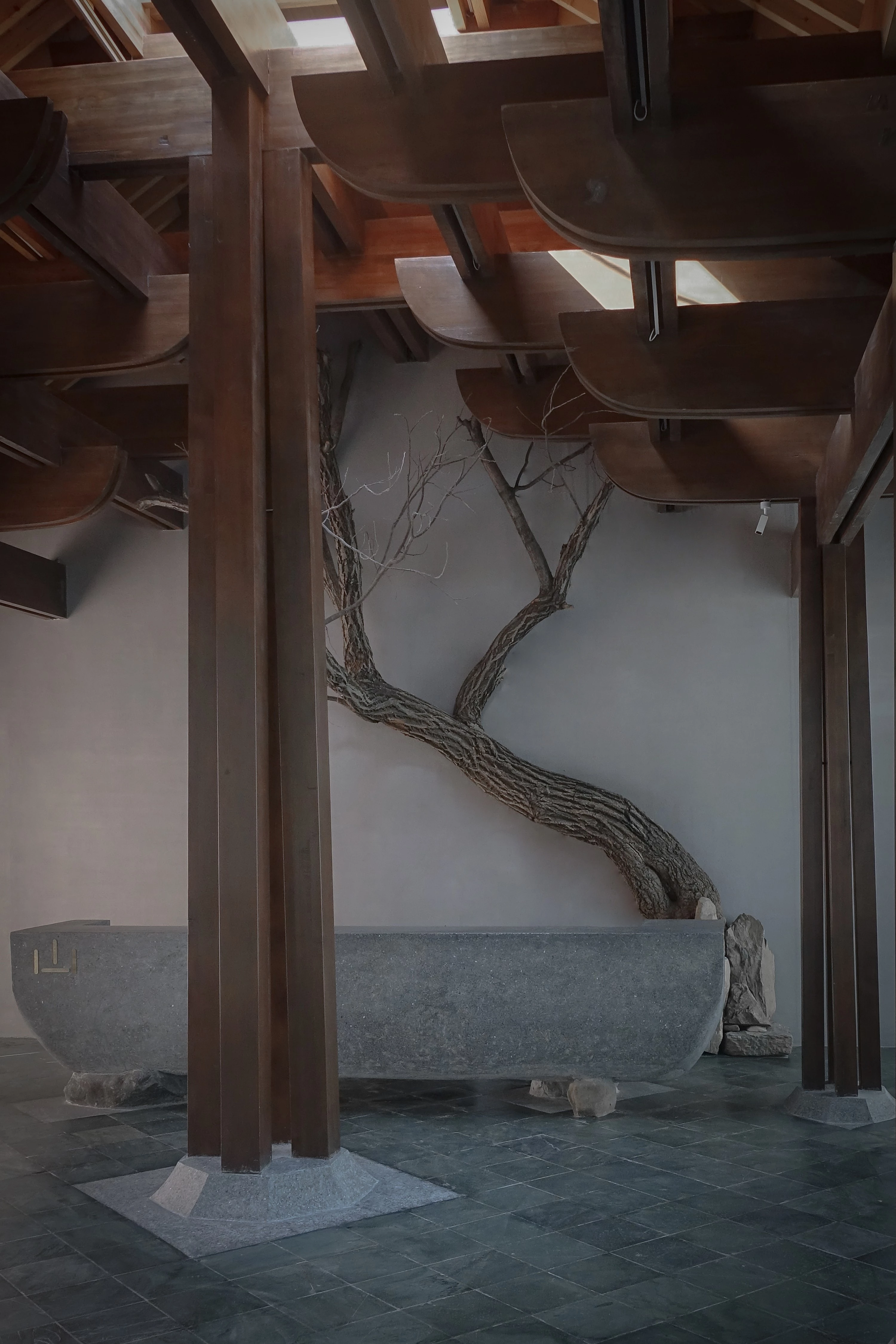 家族大厅 X·树下对真理的追寻-26