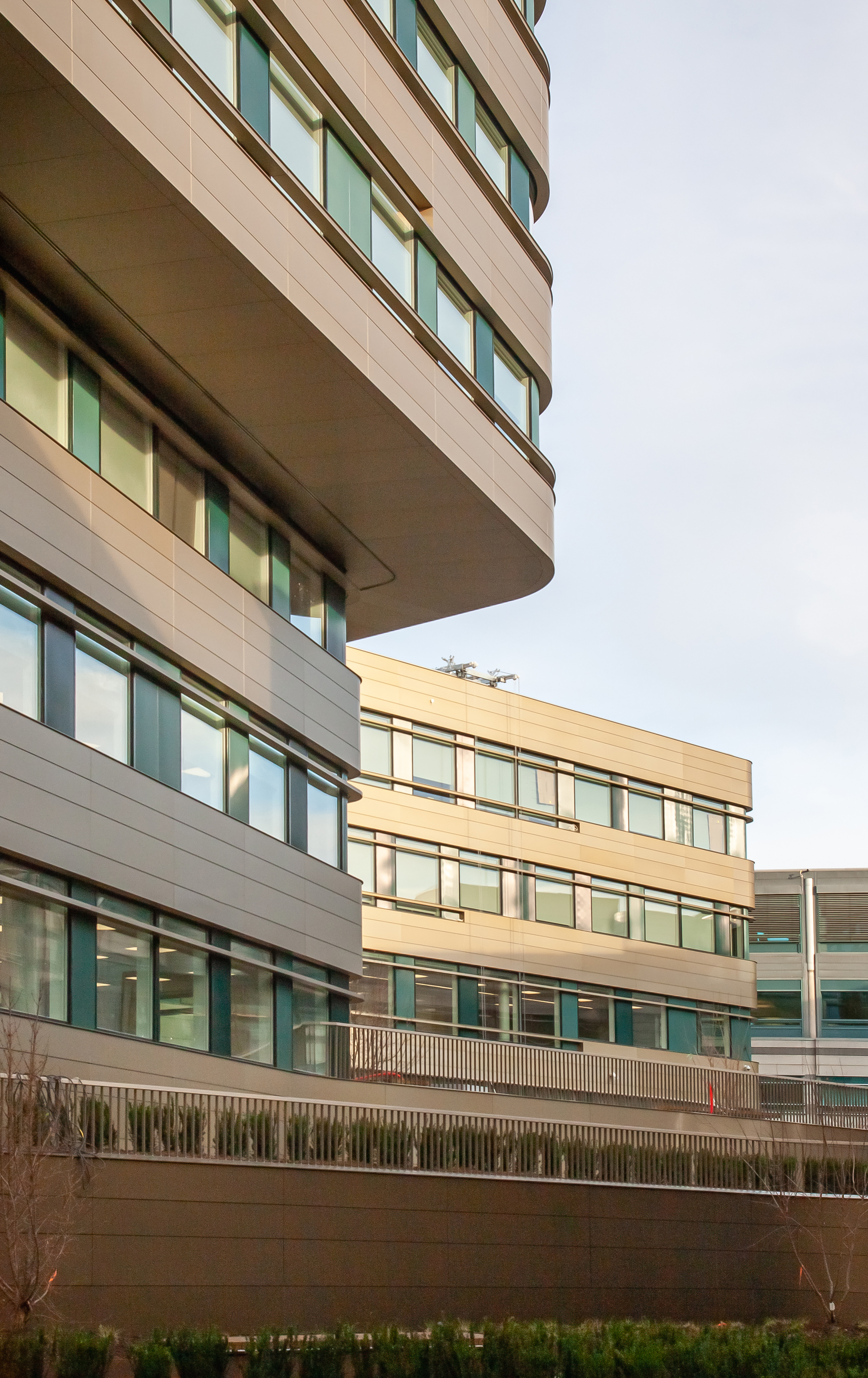 斯科延中庭三世丨Lund+Slaatto Architects-23