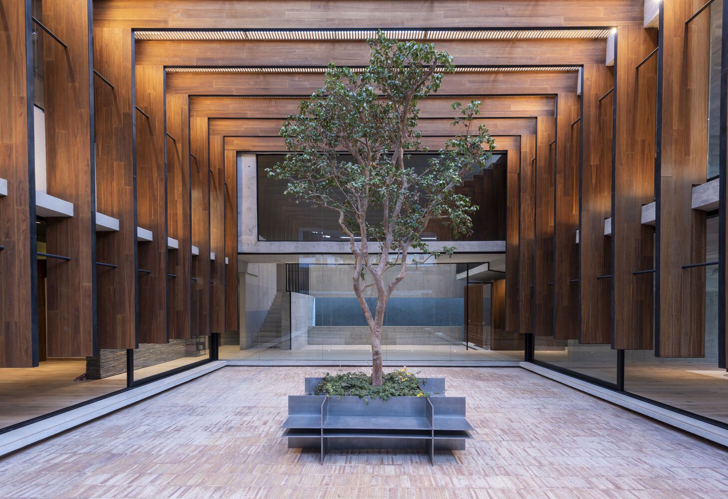 墨西哥 casa Patios 住宅丨Ricardo ys las gámez Arquitectos-15