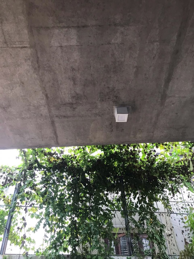 Concerto House  Baumschlager Eberle Architekten-50