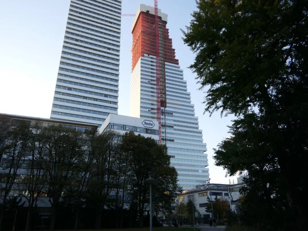 瑞士罗氏二号大厦丨赫尔佐格&德梅隆-59