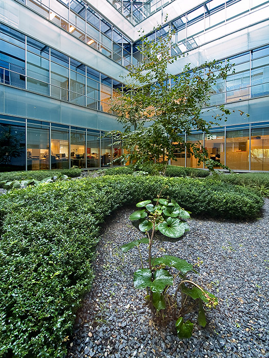 Madrid 办公大楼庭院花园 · 有机自然主义的设计实践-44
