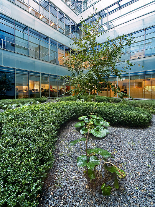 Madrid 办公大楼庭院花园 · 有机自然主义的设计实践-44