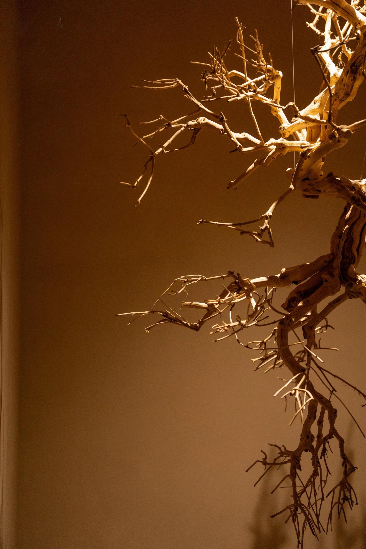 嘉佰道·徐汇双子艺术展厅丨中国上海丨HWCD设计-14