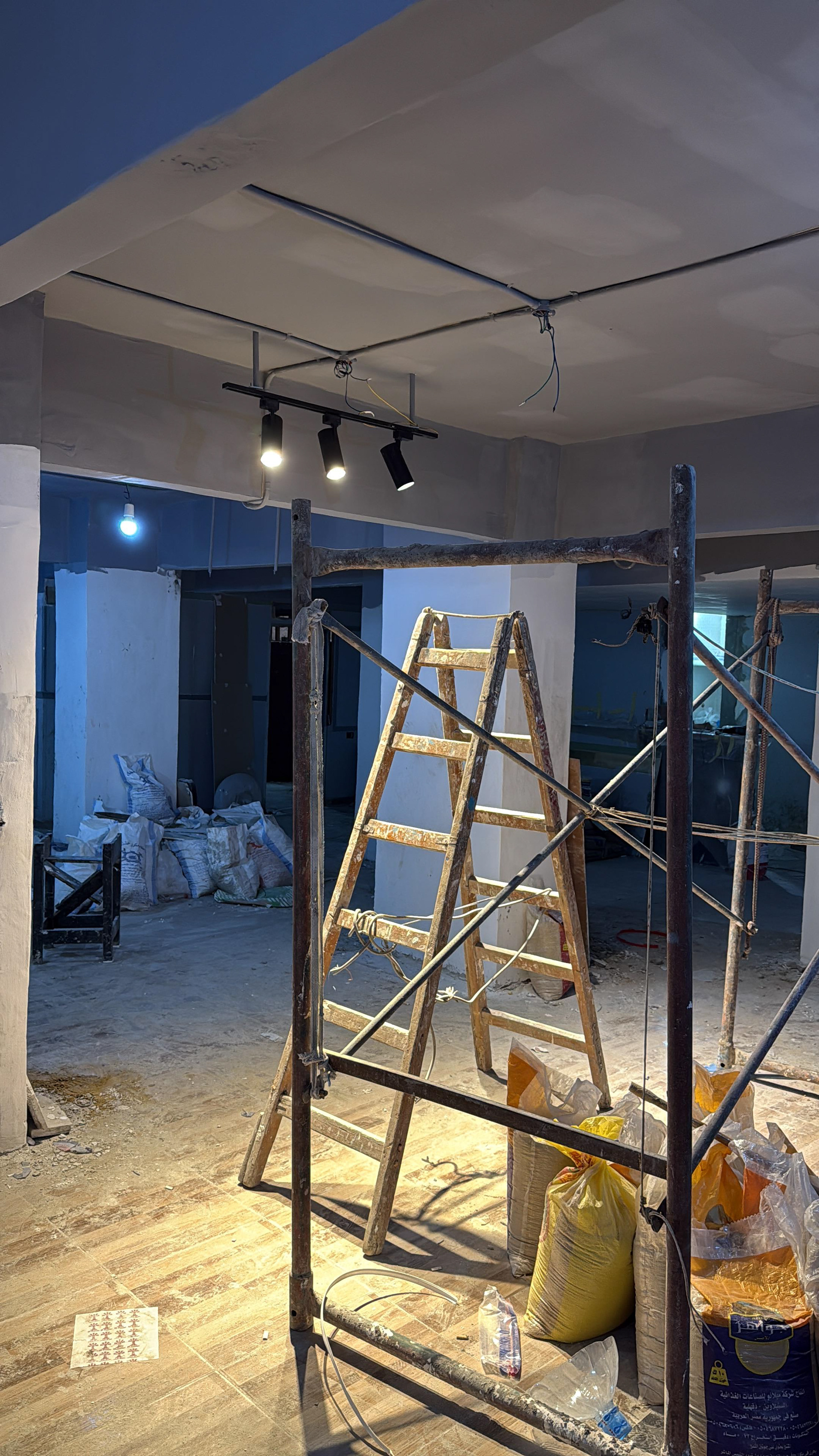 MMA Lupus Academy | Interior Design-24