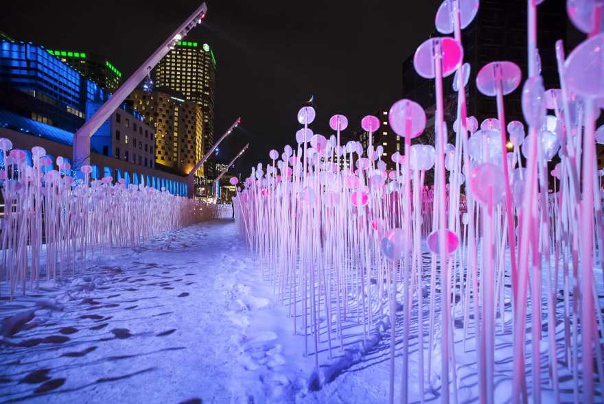 冬季麦田幻境 | Entre les Rangs 公共艺术装置-10