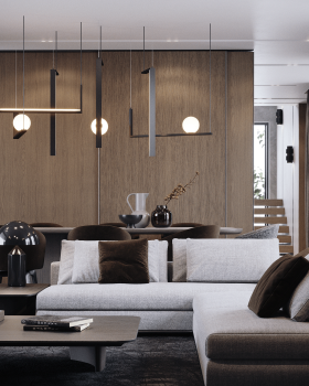 WD House   Pt l on Behance_files Mario Stoica