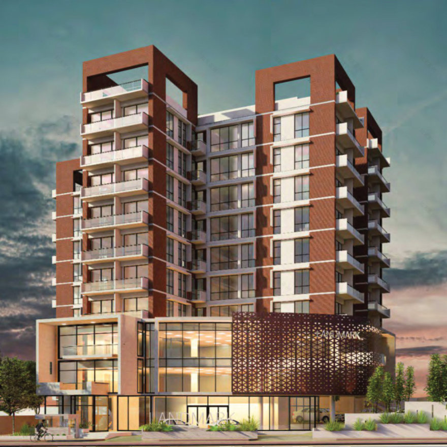 丨Mahfujul Hoque-15