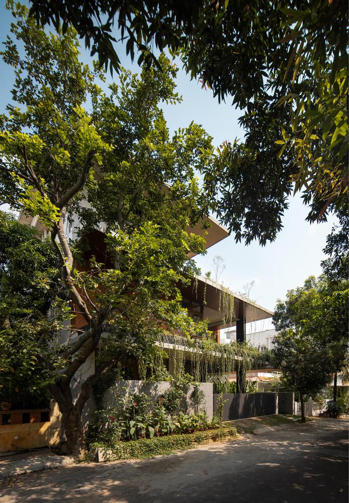 绿之屋别墅设计（绿色之家）丨印度班加罗尔丨戈者设计-9