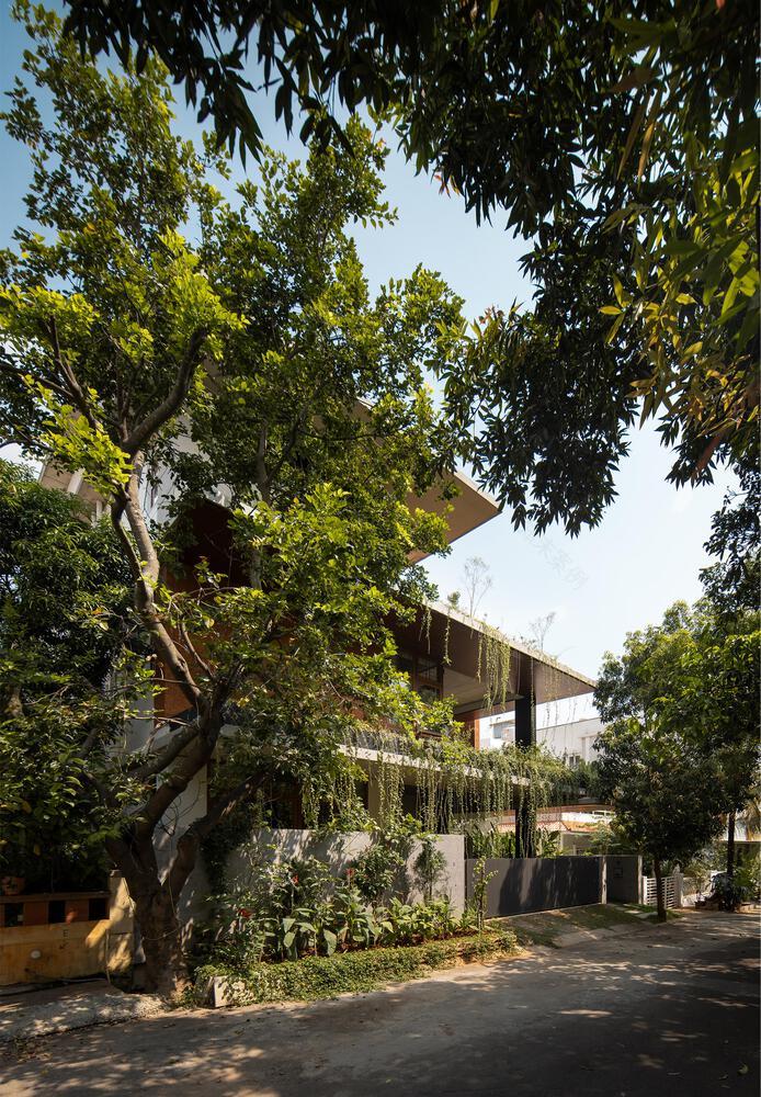 绿之屋别墅设计(绿色之家)丨印度班加罗尔丨戈者设计-9