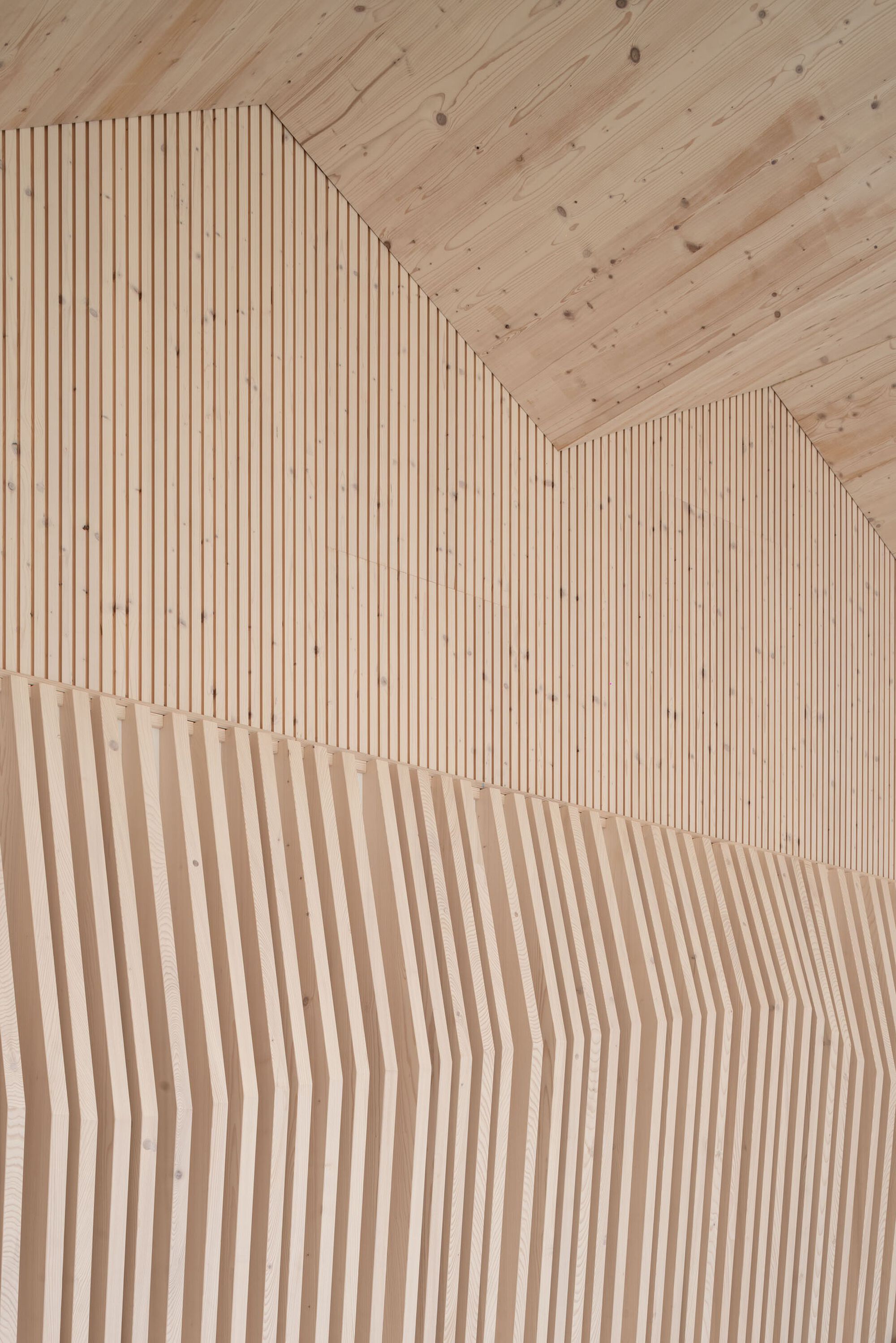 Studenec 村小学及幼儿园扩建项目丨Chrama-40