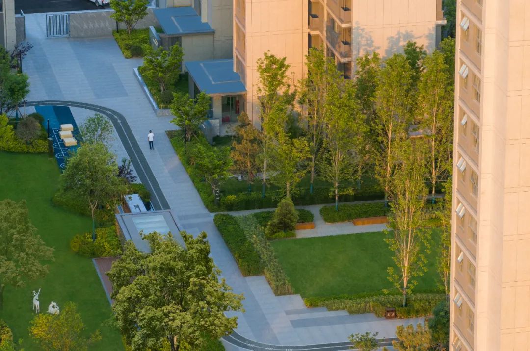 中交·楼山春晓·青岛丨中国青岛丨麦田景观-30