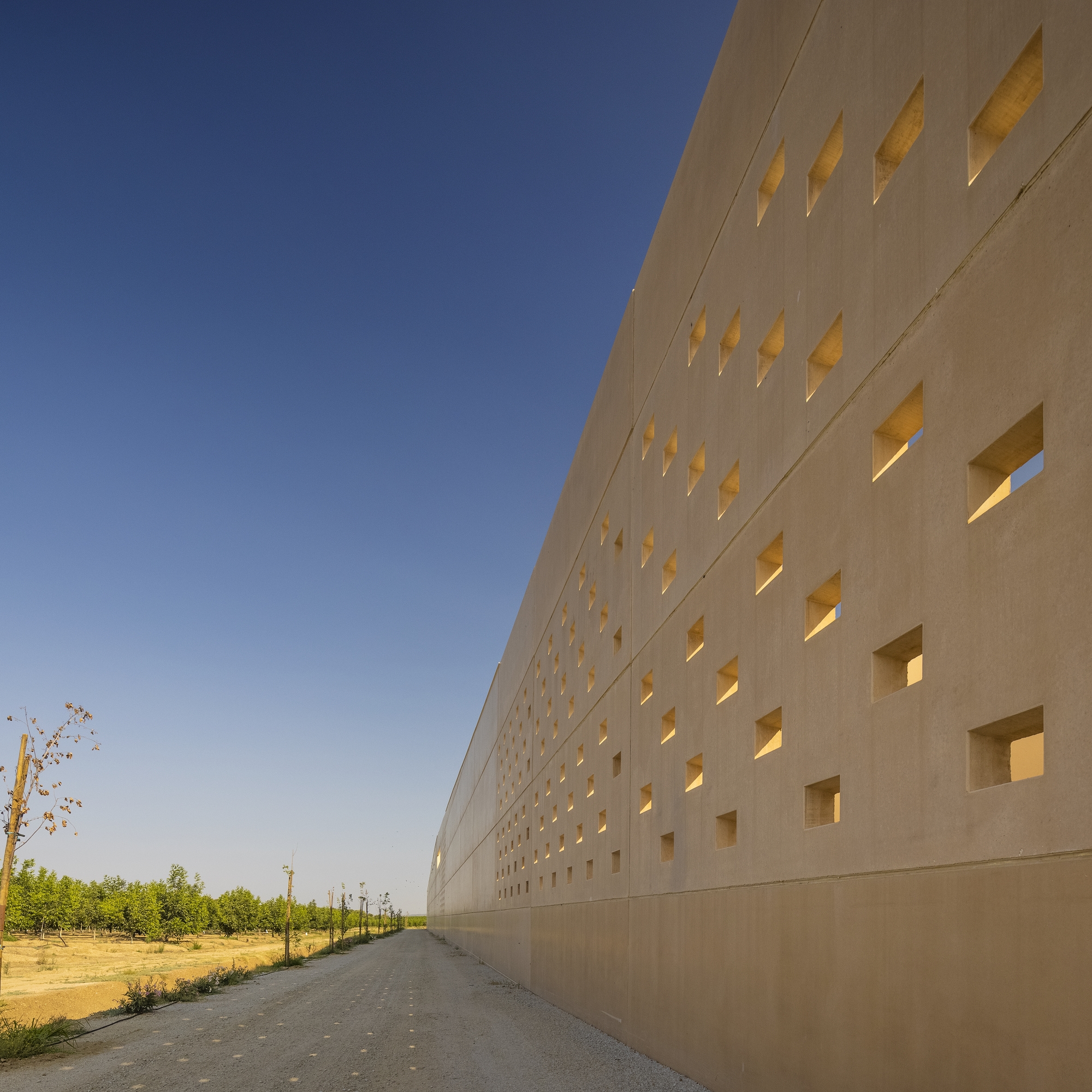 Nogam 核桃工厂丨葡萄牙丨ARC Arquitectos-14