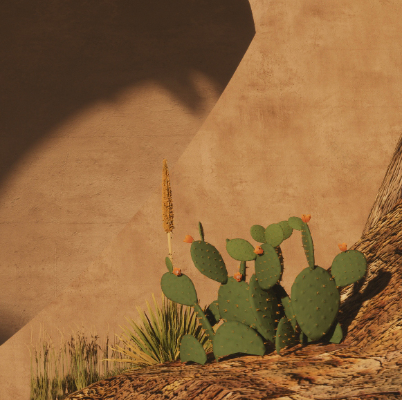 红海文化地标 · 融入自然的冥想空间丨沙特阿拉伯丨AB+AC Architects-21