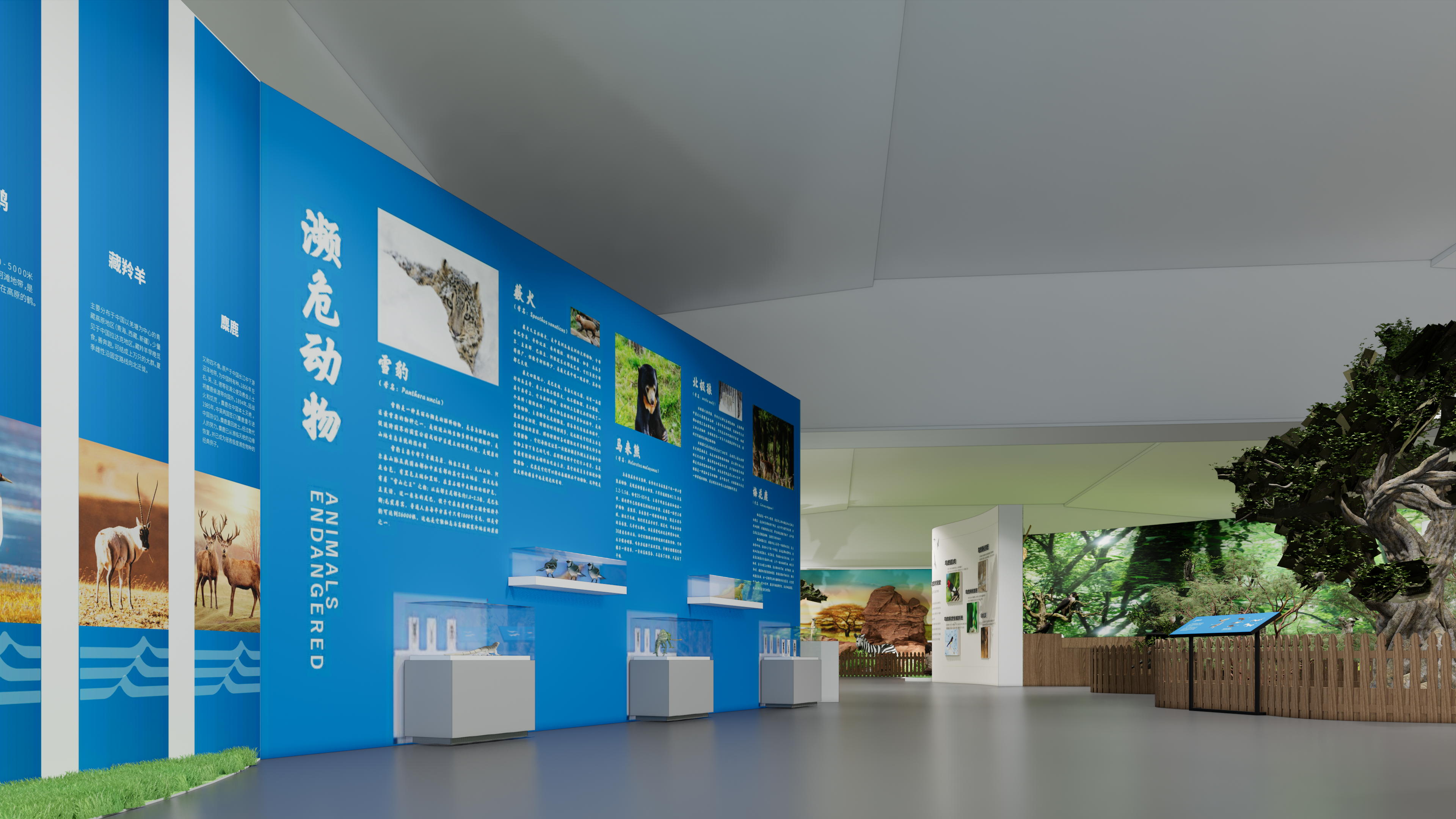 岳阳大熊猫基地-标本展-9