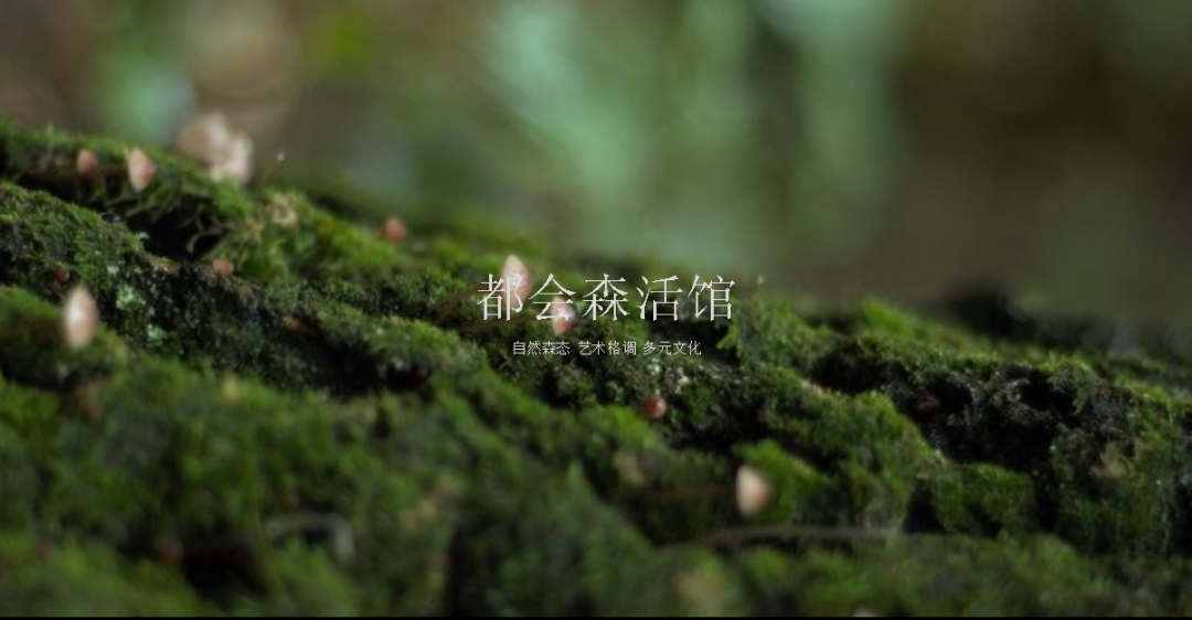 东哲首发|酒店品牌升级案例-2