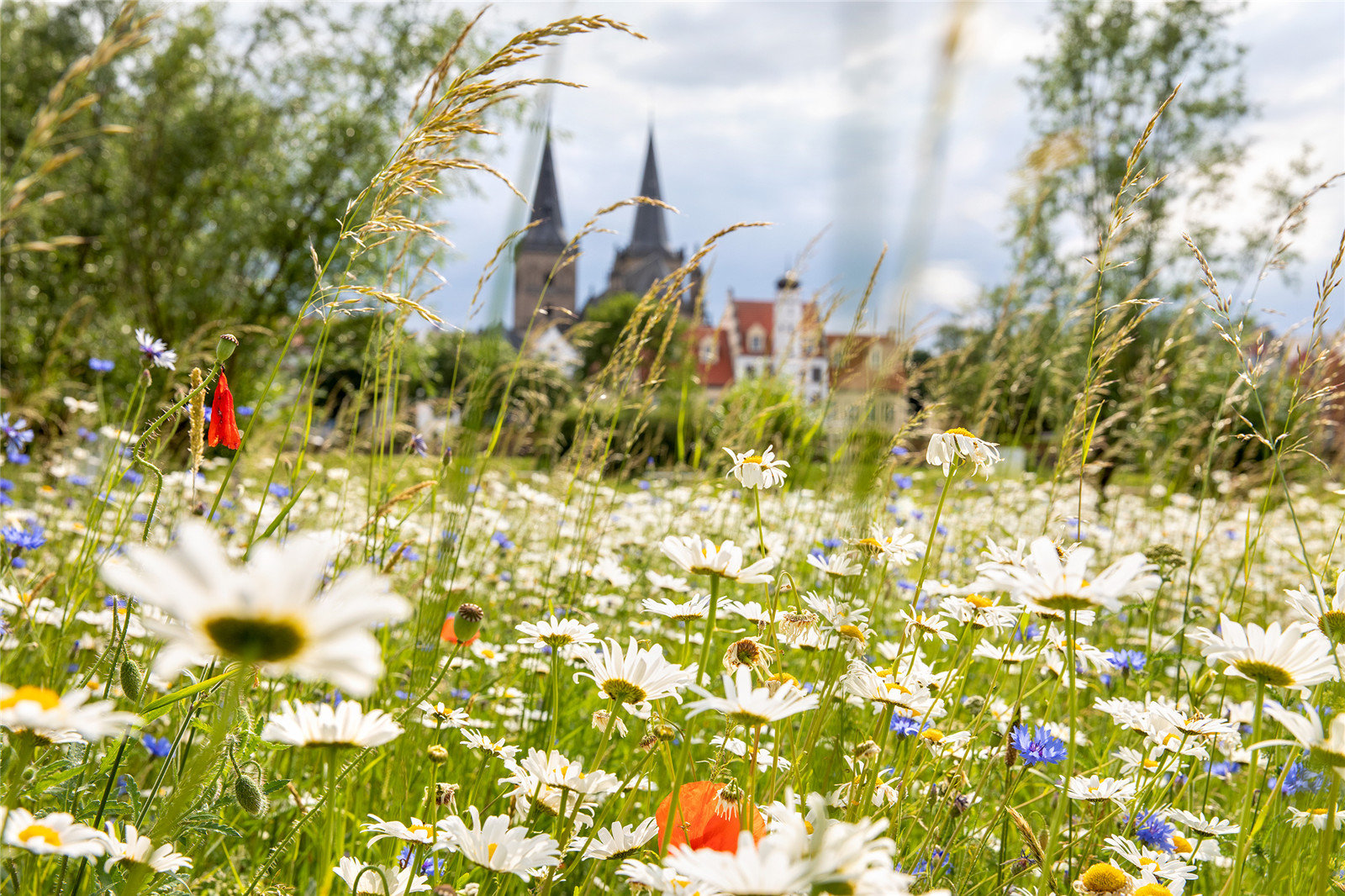 德国克桑滕城墙区的更新改造丨Planergruppe GmbH Oberhausen-16