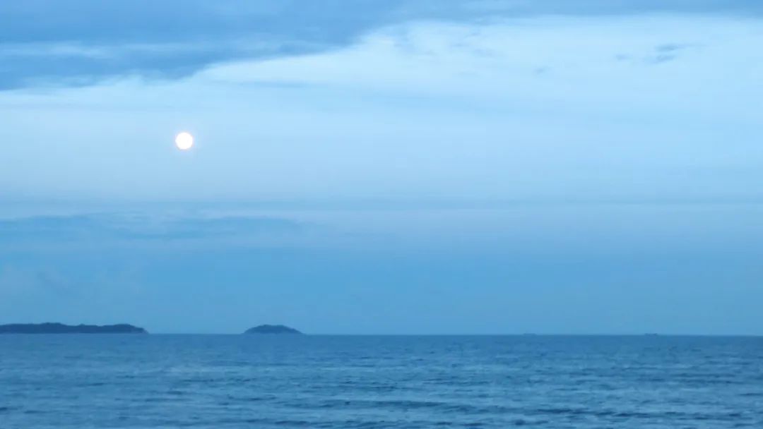 “欢乐的团建活动——深圳西涌海边之旅”-16