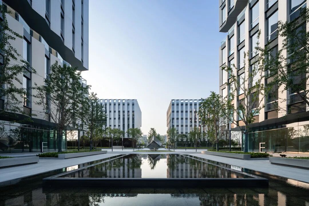 金秋系列05|科创园区的城市烟火-55