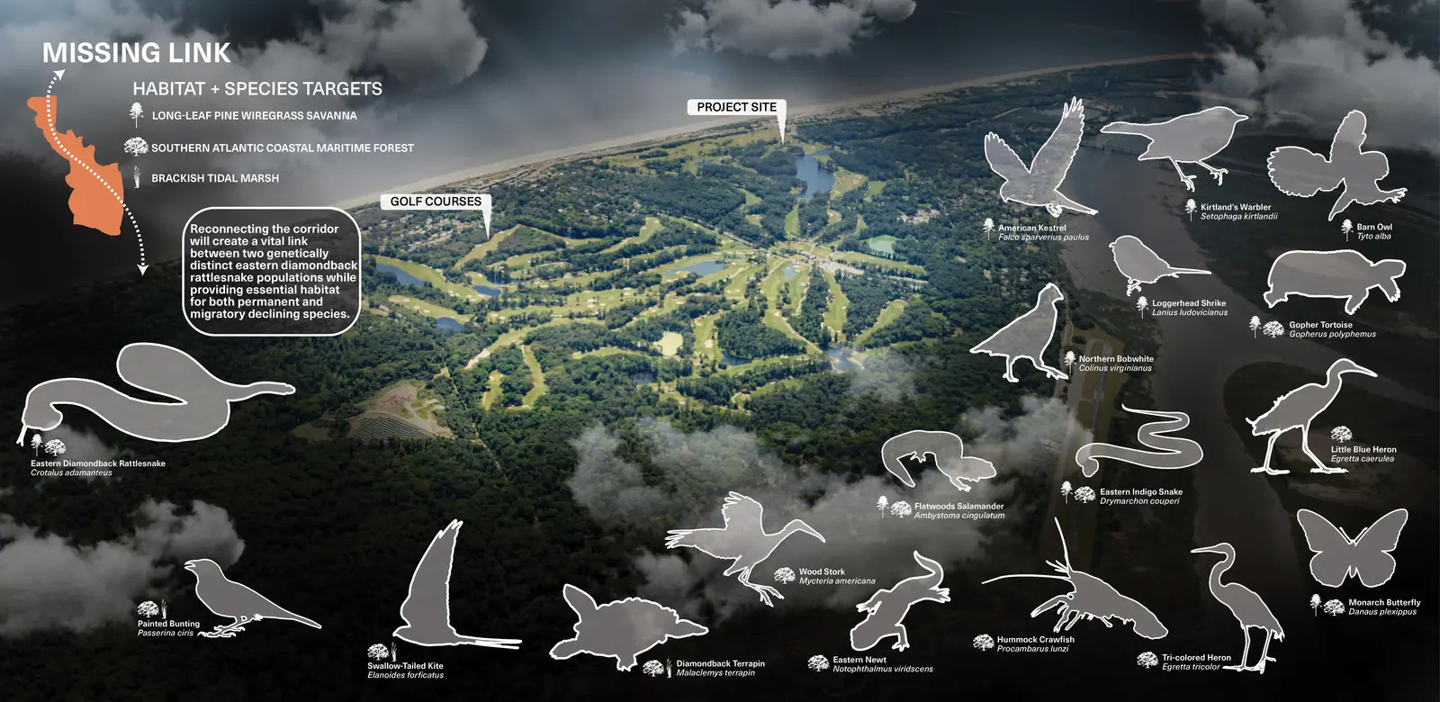 试验场:从高尔夫球场到屏障岛生态系统丨美国丨Design Workshop,Inc.-21