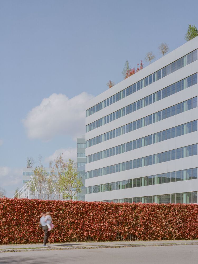 赞比亚 Segreen Business Park 商业园区丨Studio Elementare-22