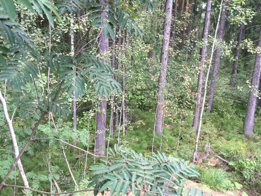 垂直规划项目-15