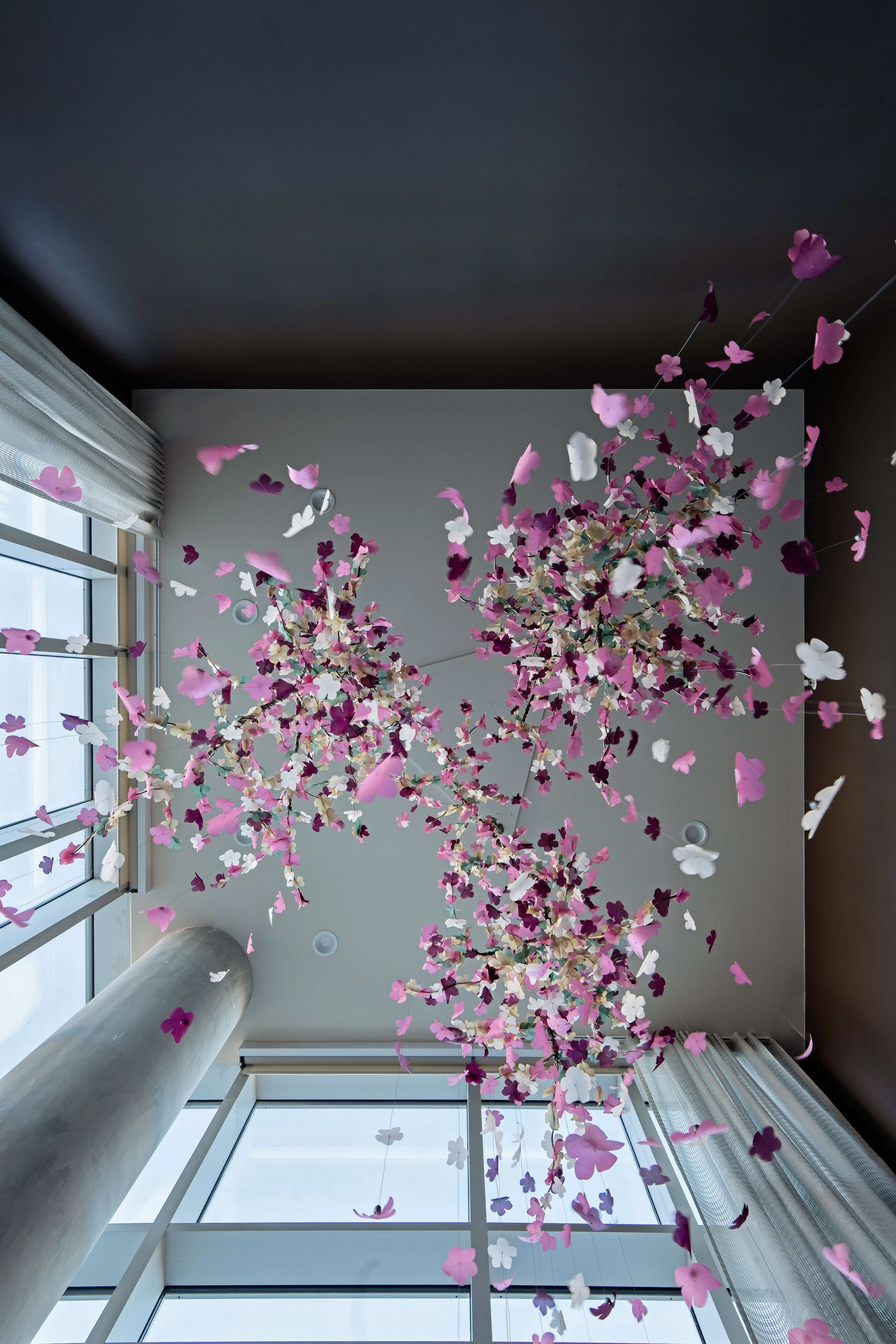 丨美国丹佛丨Vida Design-13