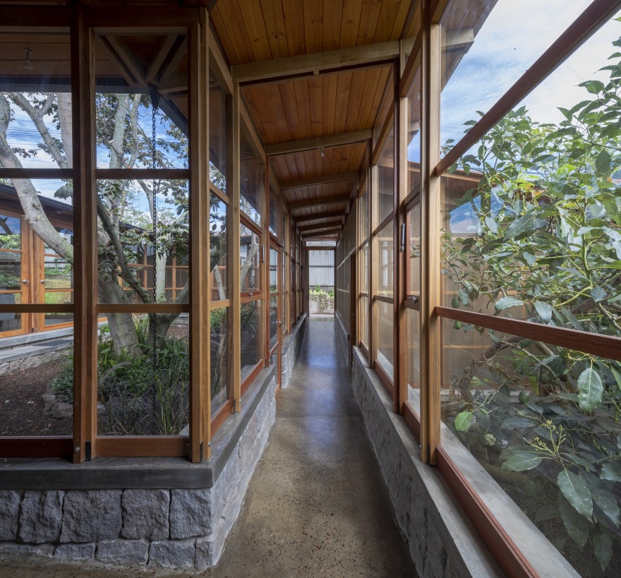 House Among Trees / El Sindicato Arquitectura-18