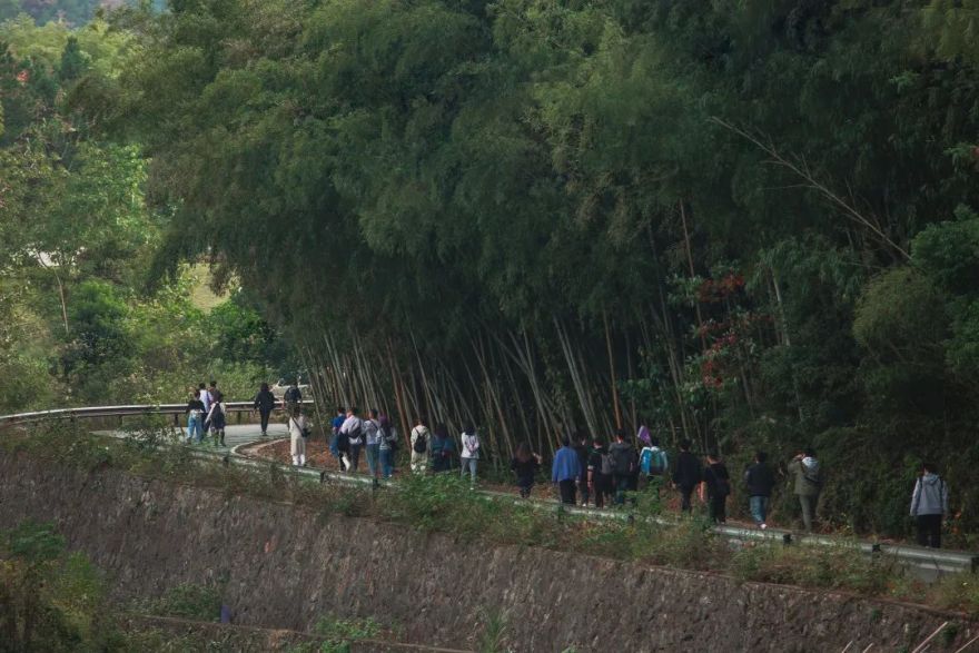 秋山行旅·沉浸自然,收获疗愈丨ZSD卓时-7