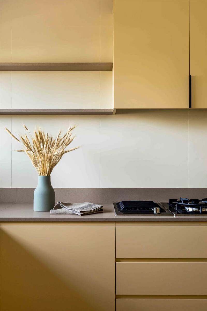 巴西 Casa Aurum 公寓设计-15