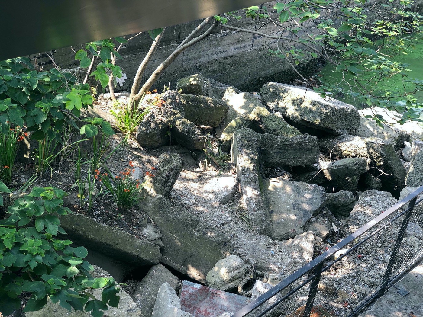 Edge Garden 景观设计丨中国上海丨YIYU-27