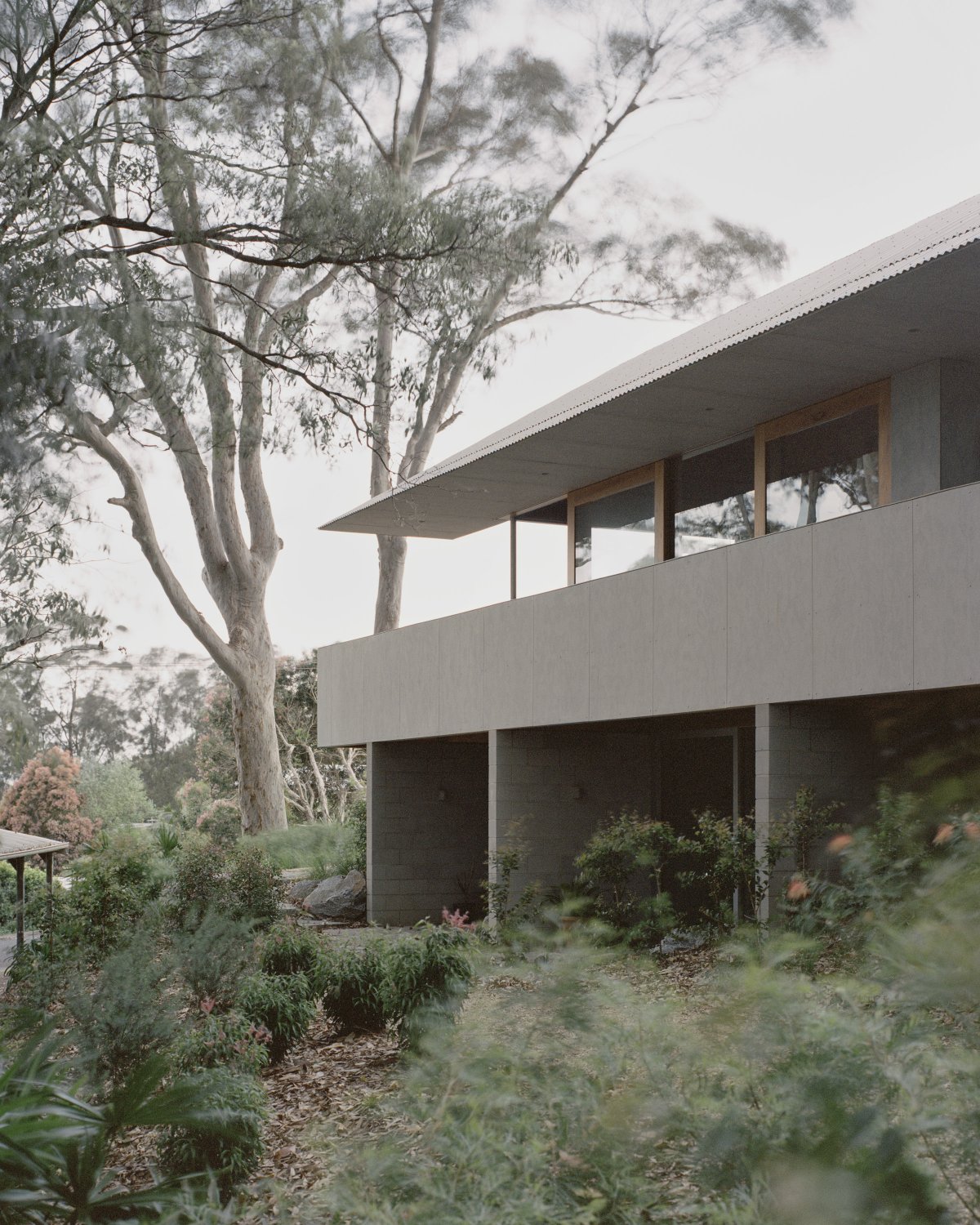 Mossy Point 住宅设计丨澳大利亚新南威尔士-31