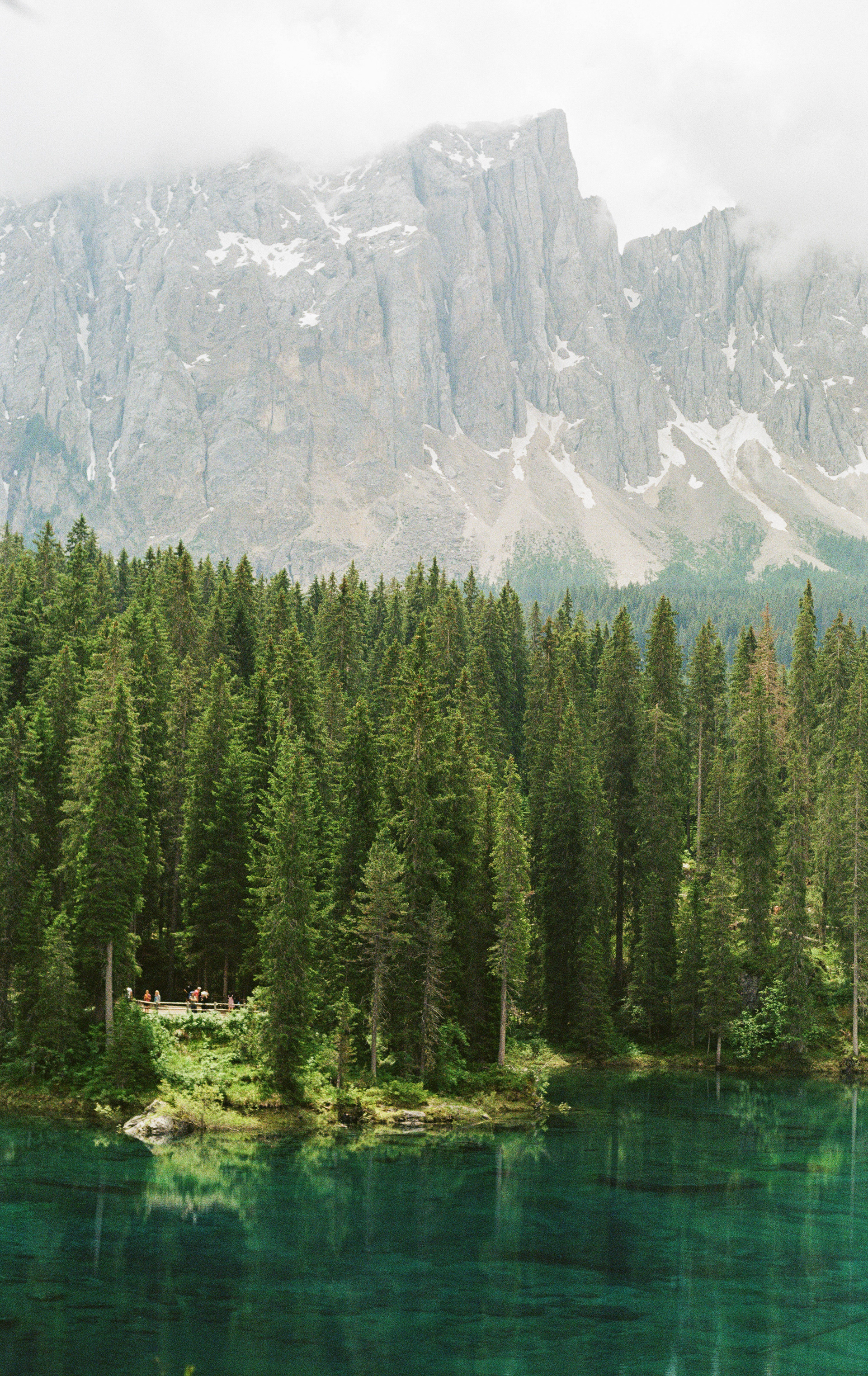 模拟景观丨martin morgenweck-11